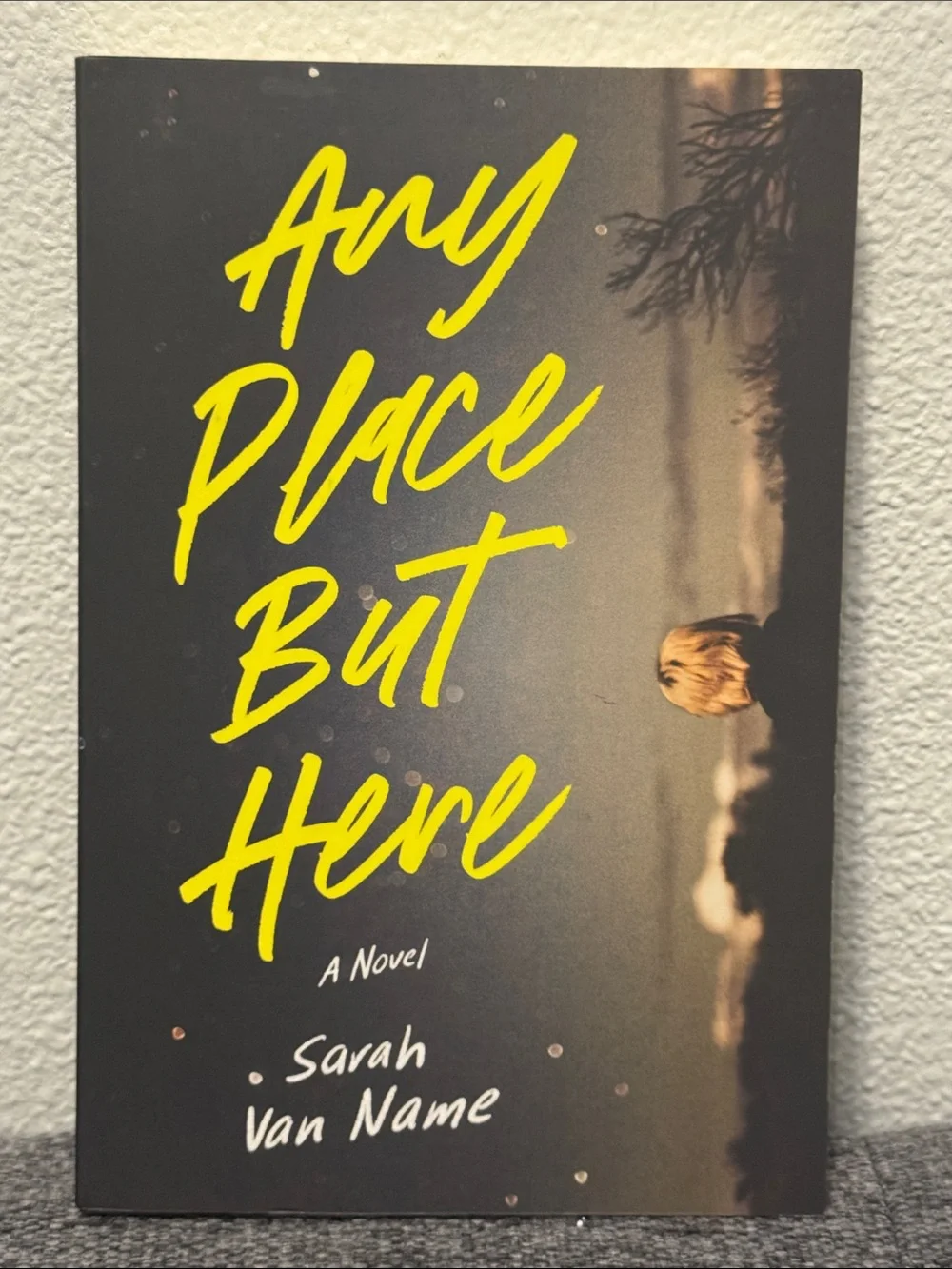 Barnes & Noble paperback book
